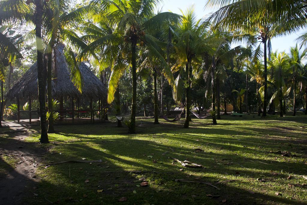 Turtle Beach Lodge Tortuguero Exterior foto