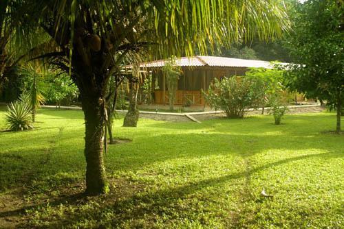 Turtle Beach Lodge Tortuguero Exterior foto
